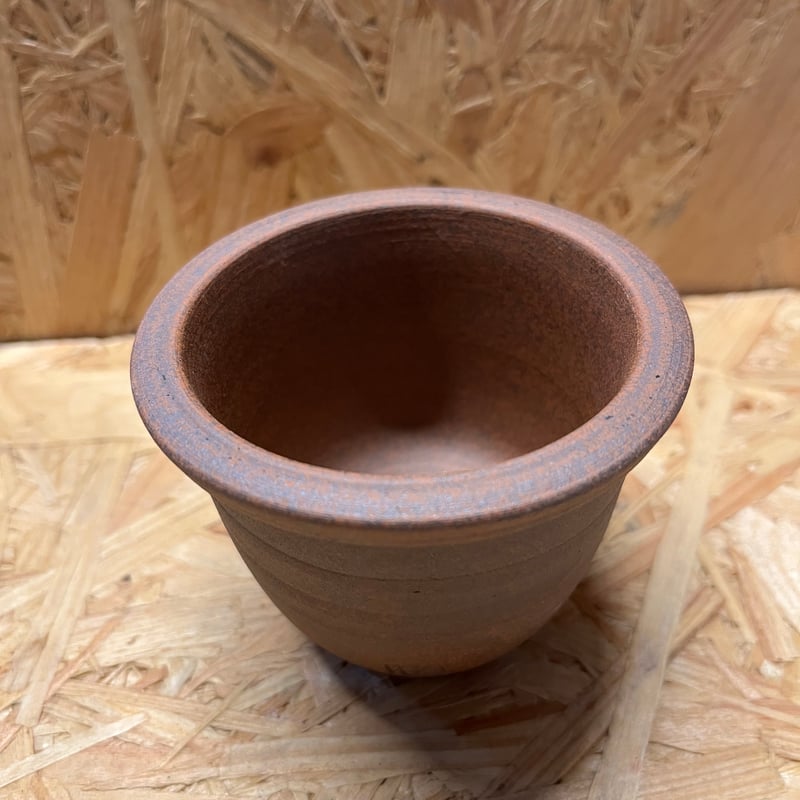 伝市鉢 丸型 2.5号 | GREEN LUCK