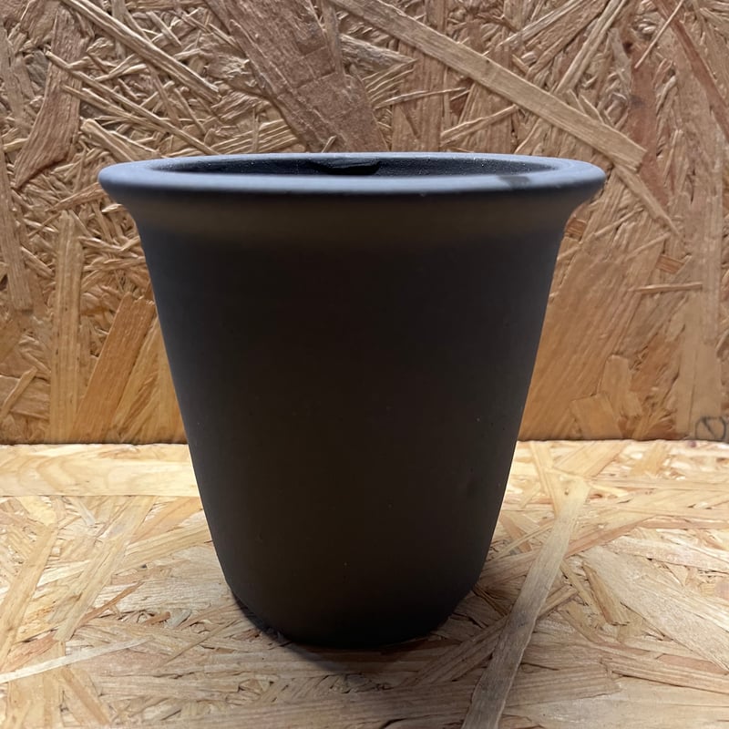 伝市鉢 型ラン型 3.5号 黒化粧 | GREEN LUCK