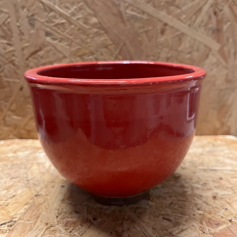 伝市鉢 コウロ型 4号 別注カラー | GREEN LUCK