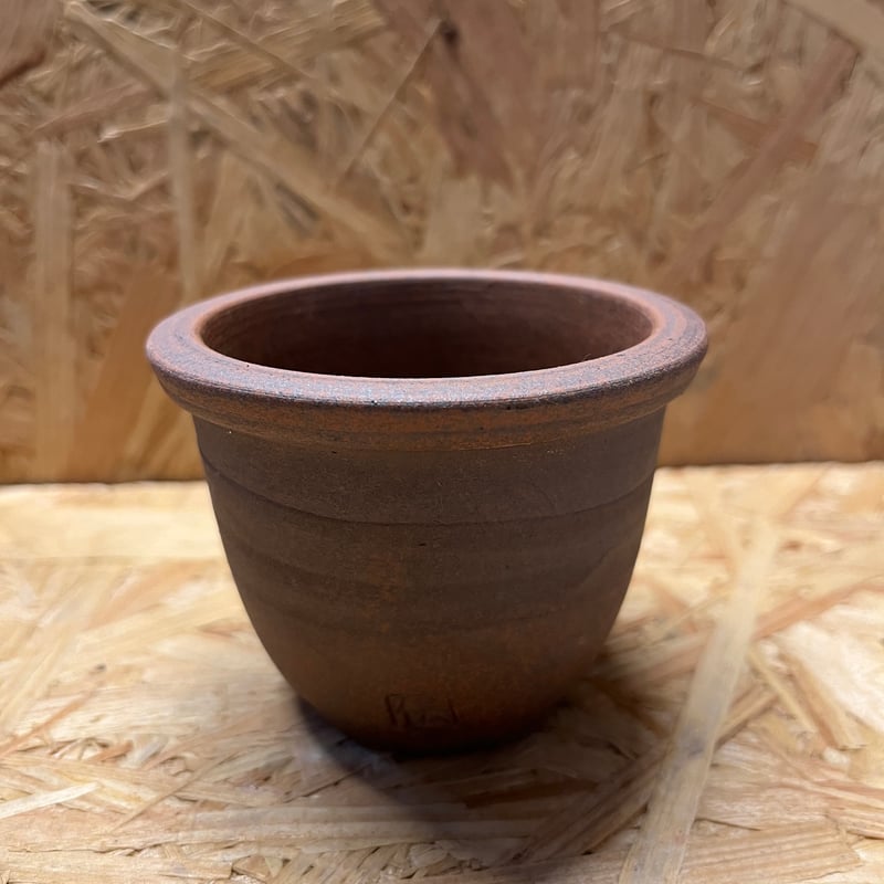 伝市鉢 丸型 2.5号 | GREEN LUCK