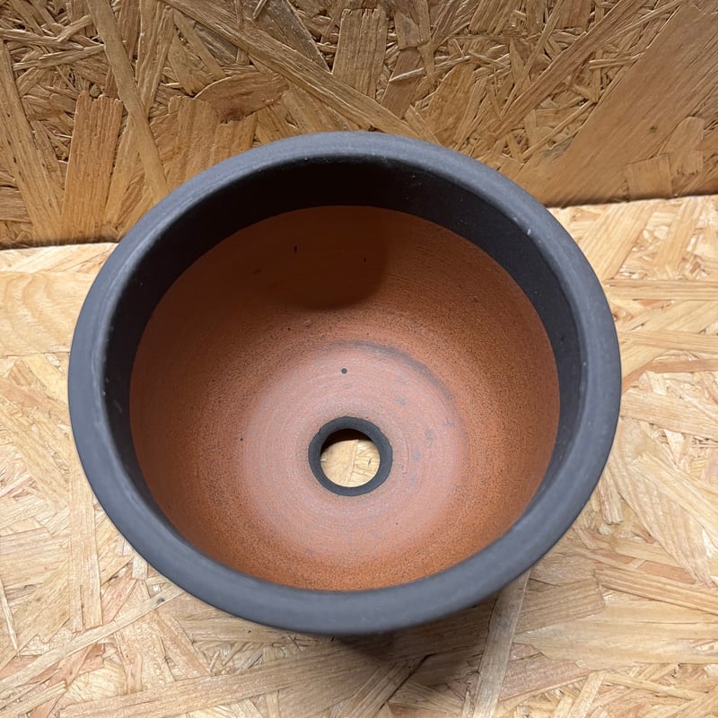 伝市鉢 コウロ型 3.5号 黒化粧 | GREEN LUCK