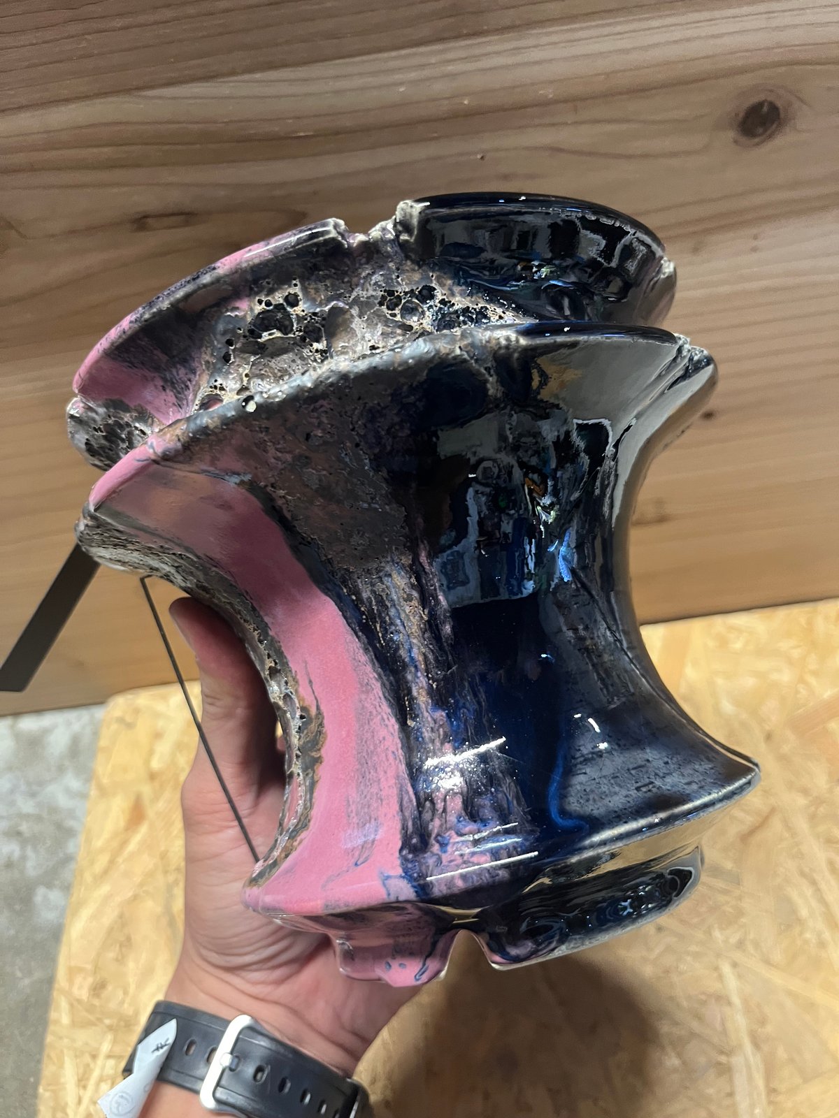 ワイルドヘブン　新品未使用　鉢 ワイルドヘブン 新品未使用 鉢 【公式通販】