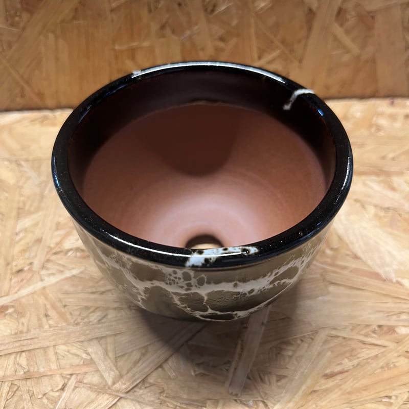 伝市鉢 コウロ型 3号 丹波黒流し | GREEN LUCK