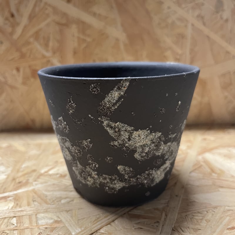 かみ山陶器 信楽焼 植木鉢 | GREEN LUCK