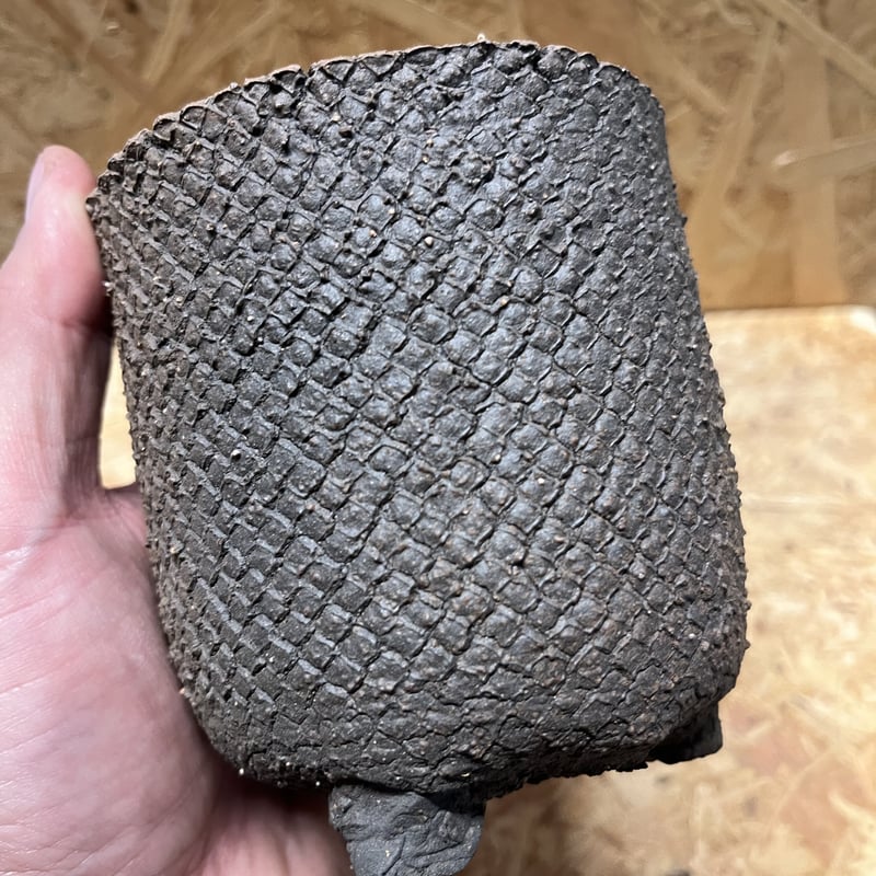 COMWORK STUDIO 信楽焼 植木鉢 | GREEN LUCK