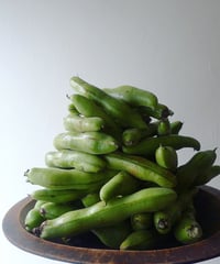 自然栽培そら豆で仕込む豆板醤キット