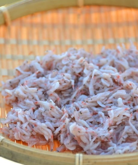 有明海産　アミエビの沖漬け