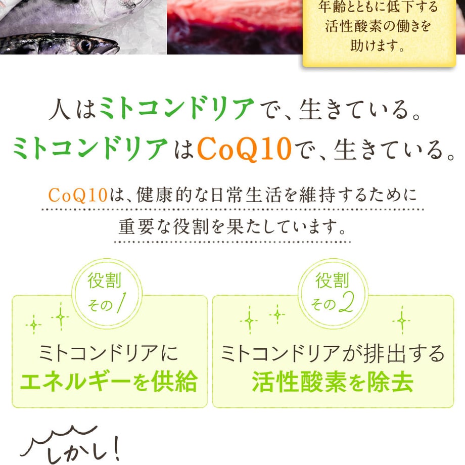 5f6c814d4b083926d709c034