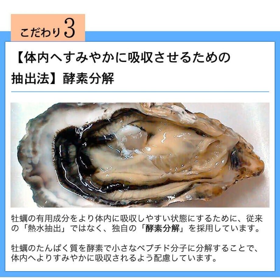 614c358cacbcb050765b8508