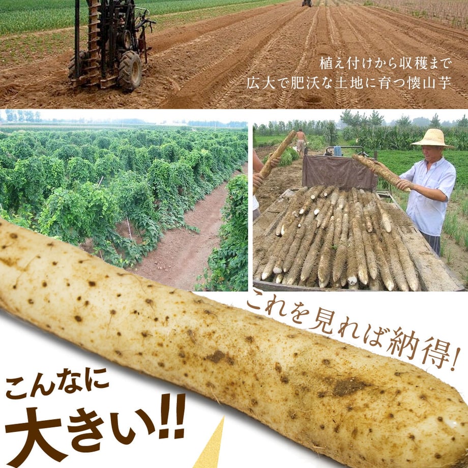 60ec05a5a00a4a547569d0e2