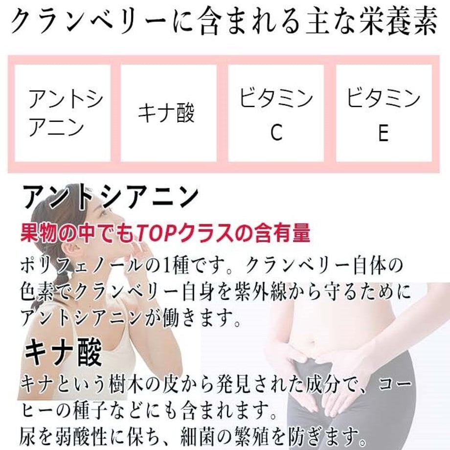 63760a9ac808a45c675a9121