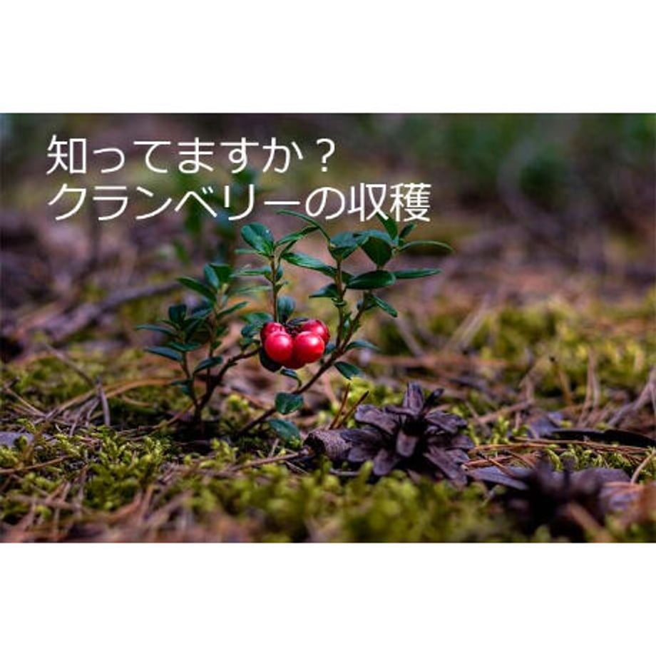 5f741f6e93f61956abe6ebf0