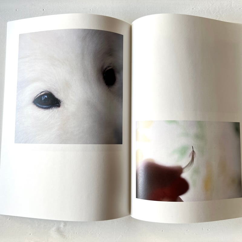 ZINE「もうすぐ海になる」 | ayasamitsui's STORE