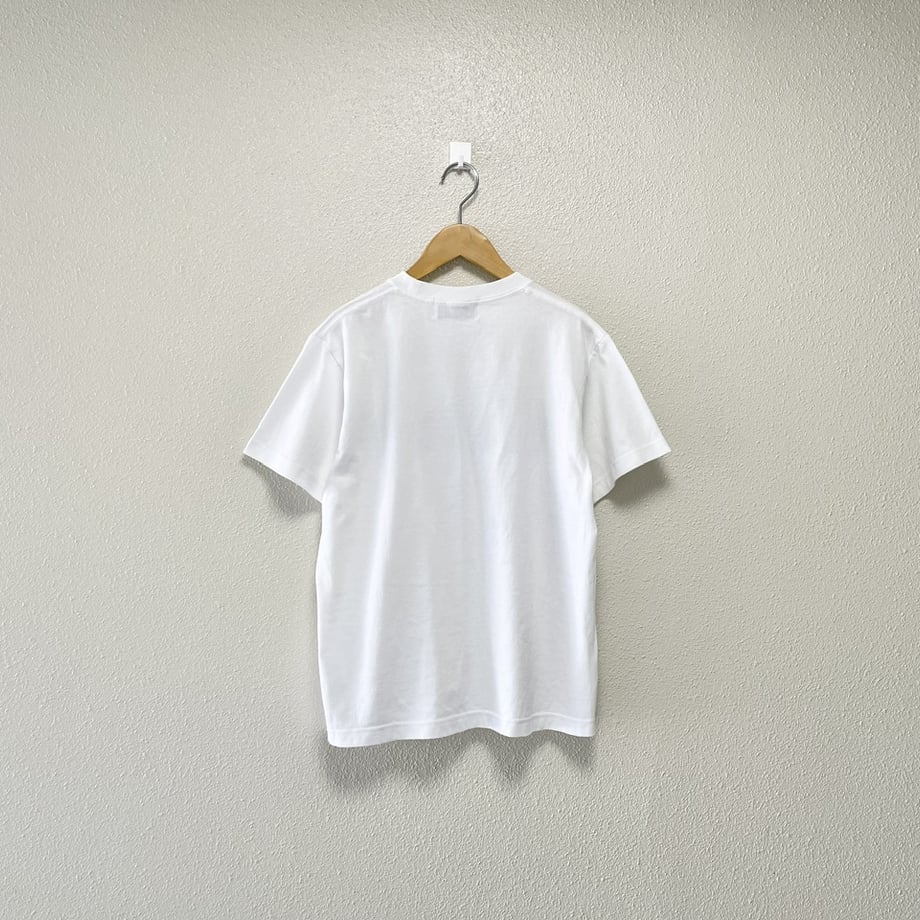 6a06b8937cf6bd5d919aadb3