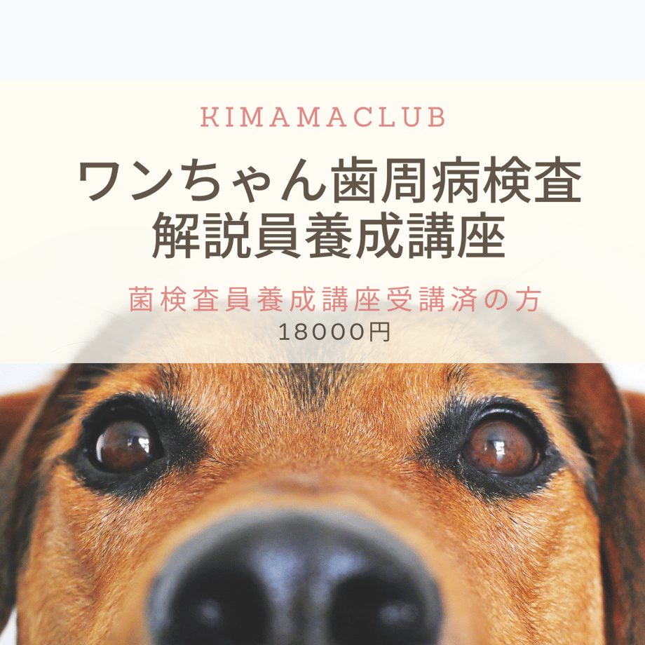 622198efd085ee018f2583a1