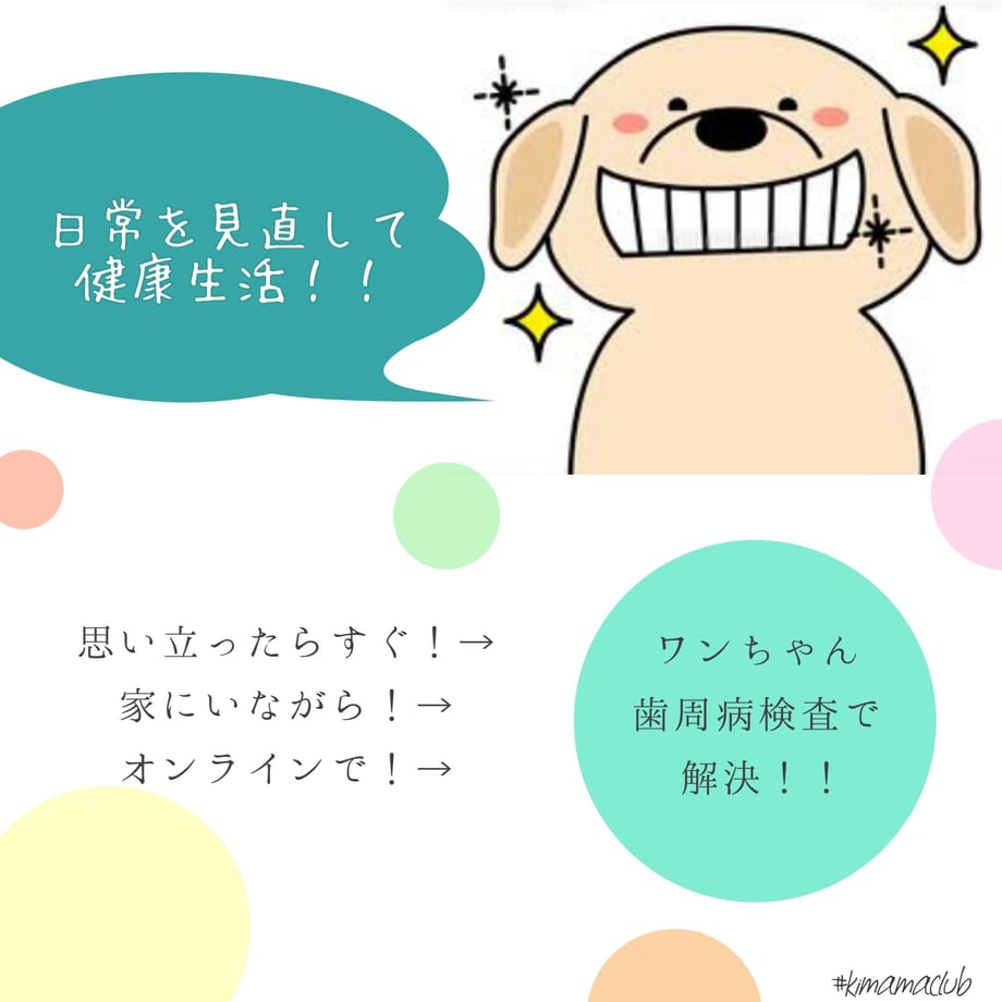 6221990b2cf73d540a377373