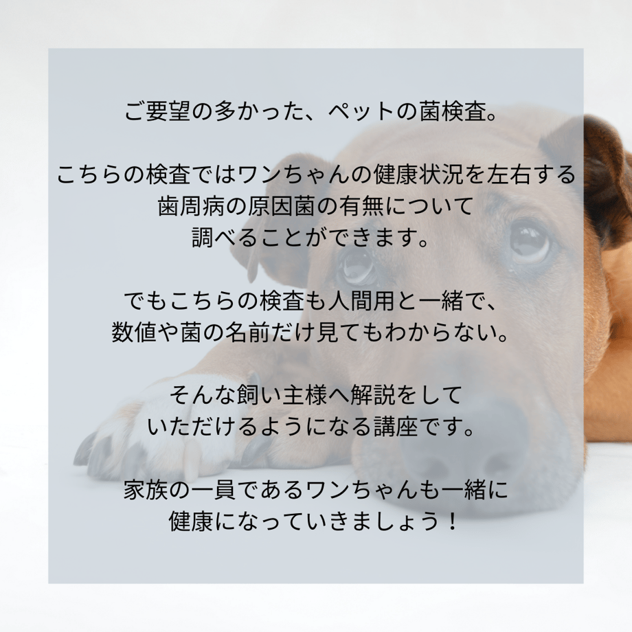622198efd085ee018f2583a1