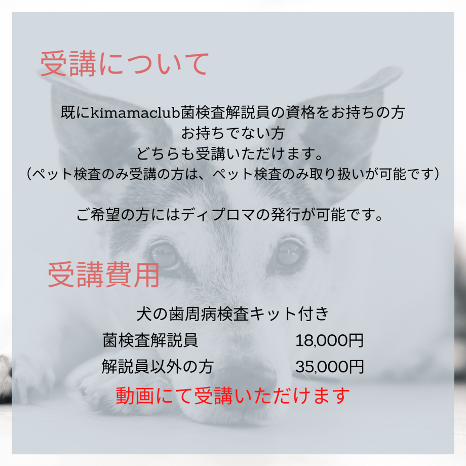 6221990b2cf73d540a377373