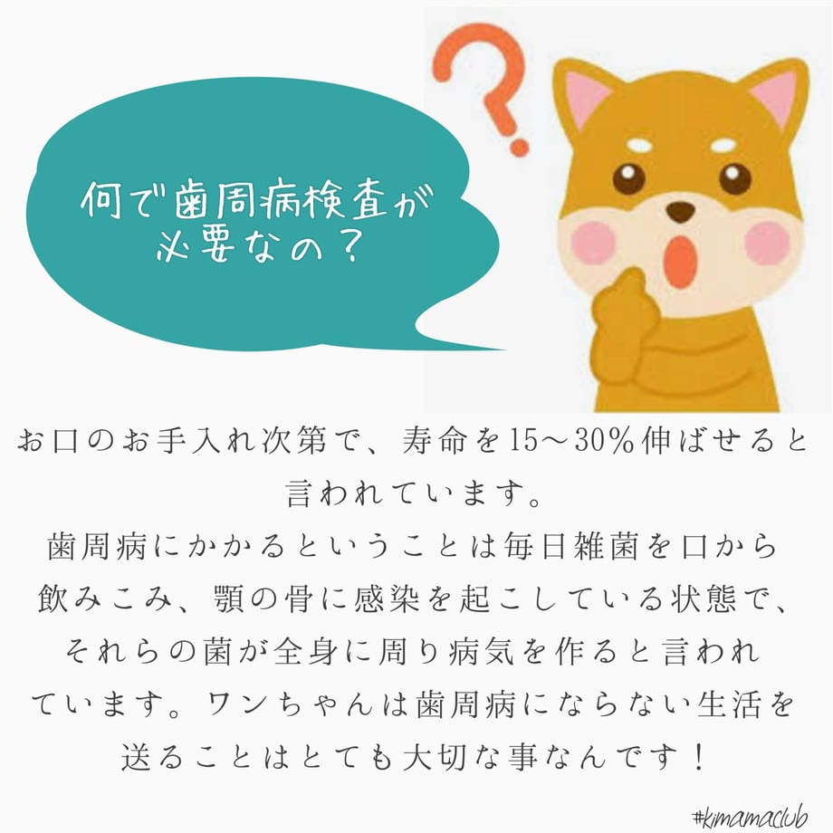 6221990b2cf73d540a377373
