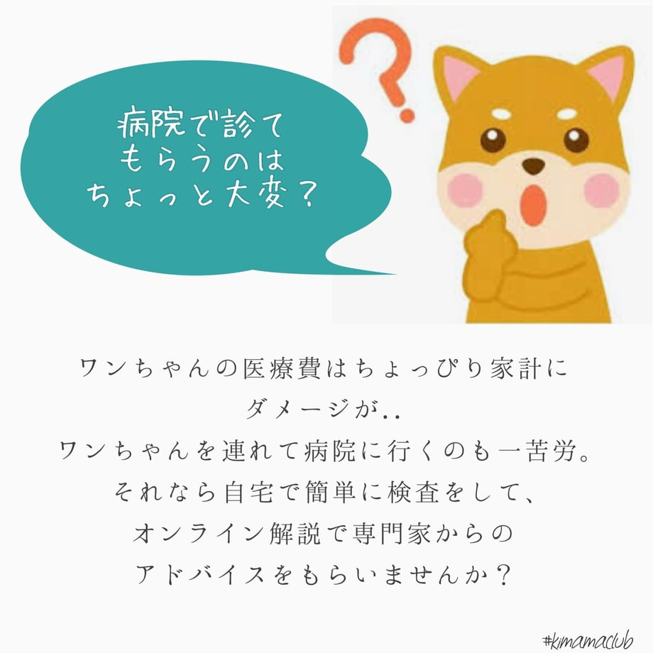 6221990b2cf73d540a377373
