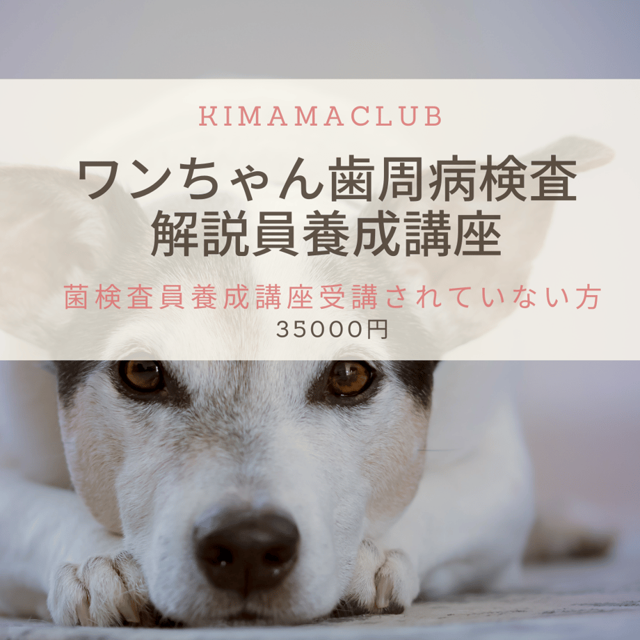 6221990b2cf73d540a377373