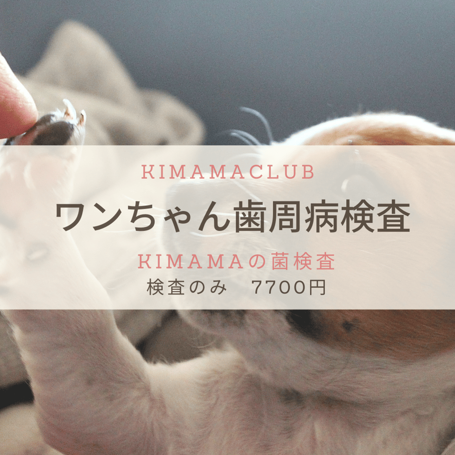 6221a18c9a7062453623991f