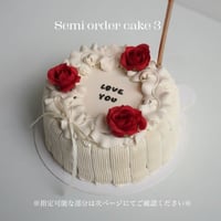 Semi order cake 3
