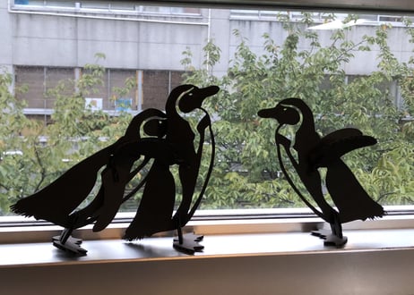 夢見るペンギン（フンボルトペンギンの段ボール製工作キット）＜小＞