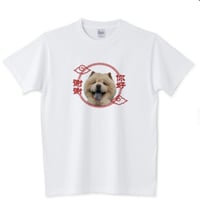 你好謝謝Tシャツ