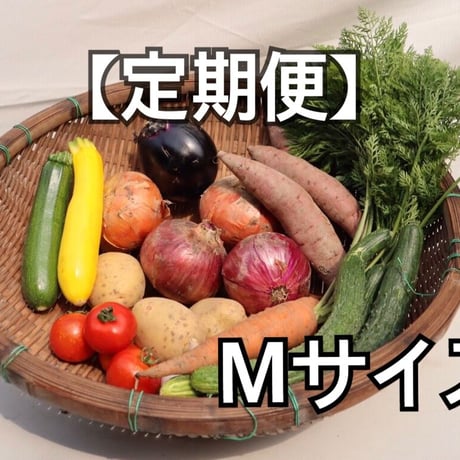 季節の野菜セット　Ｍサイズ【無農薬】定期便