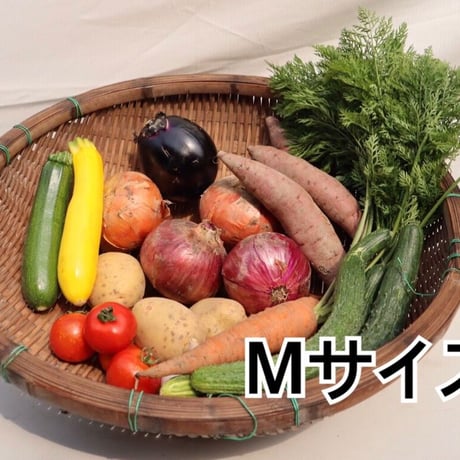 季節の野菜セット　Ｍサイズ【無農薬】