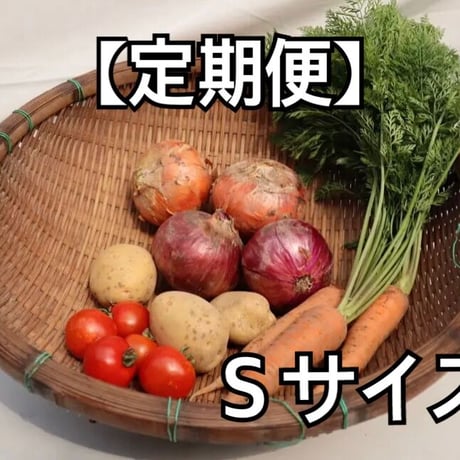 季節の野菜セット　Ｓサイズ【無農薬】定期便