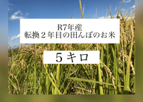 R7ハツシモ（玄米）５キロ  転換２年目の田んぼのお米