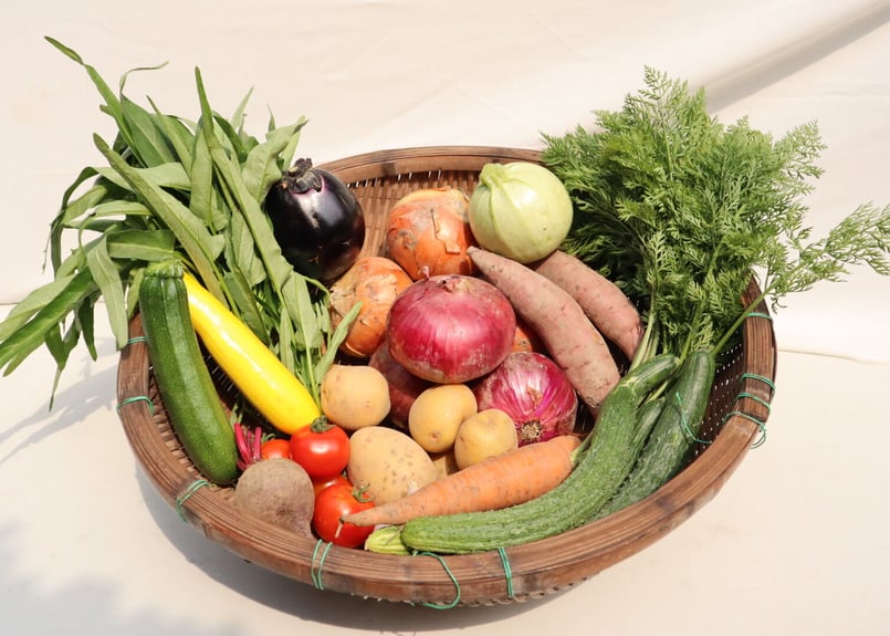 季節の野菜セット Lサイズ【無農薬】定期便 | 岡田農園オンライン