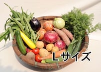 季節の野菜セット　Ｌサイズ【無農薬】