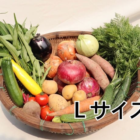 季節の野菜セット　Ｌサイズ【無農薬】