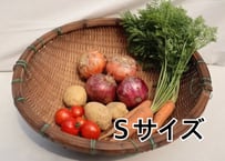 季節の野菜セット Ｓサイズ    【無農薬】