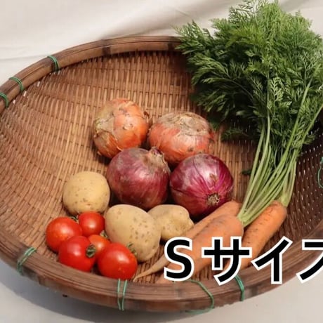 季節の野菜セット Ｓサイズ    【無農薬】