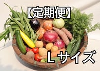 季節の野菜セット　Ｌサイズ【無農薬】定期便