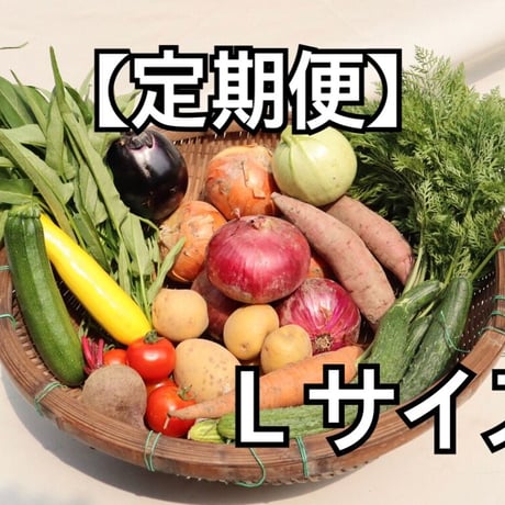 季節の野菜セット　Ｌサイズ【無農薬】定期便