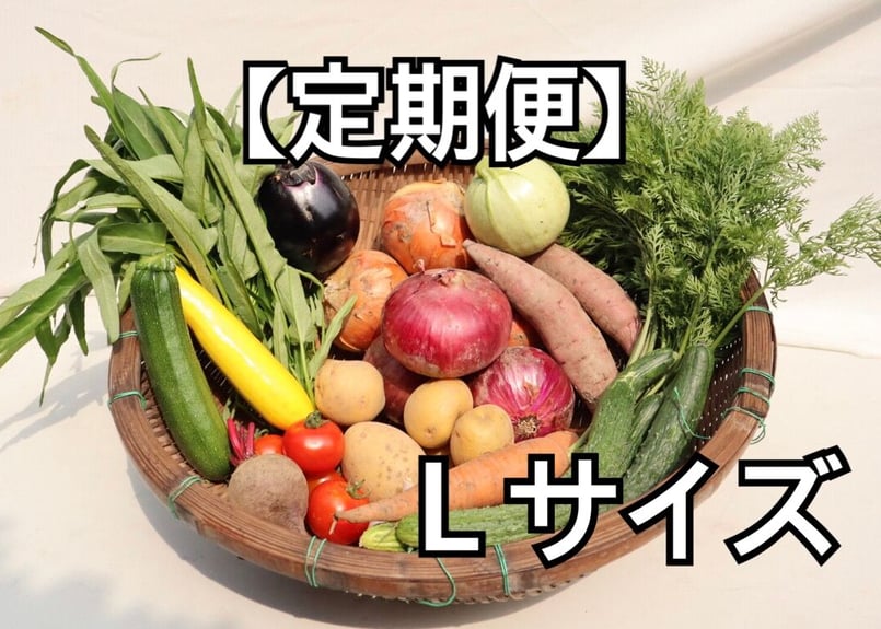 季節の野菜セット Ｌサイズ【無農薬】定期便 | 岡田農園オンライン ...