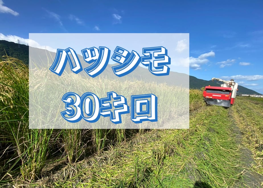 691ffece191a4bdca120cff7