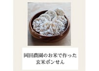玄米ポンせん10袋セット