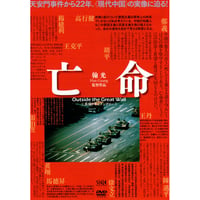 酔いがさめたら、うちに帰ろう。【Blu-ray：個人視聴用】 | パラブラ映画部
