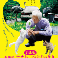 ナオト、いまもひとりっきり【DVD：個人視聴用】