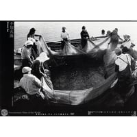 不知火海【DVD：個人視聴用】