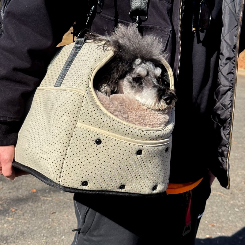 USHH BAG> MULTI CURRY BAG//マルチキャリーバッグ// | USH