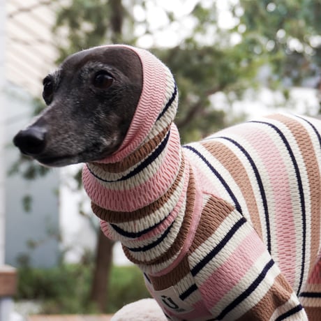 CATEGORY ロンパース | USHH_Italiangreyhound