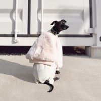 Eco-Fur zipup blouson //ｴｺﾌｧｰｼﾞｯﾌﾟｱｯﾌﾟﾌﾞﾙｿﾞﾝ IVORY