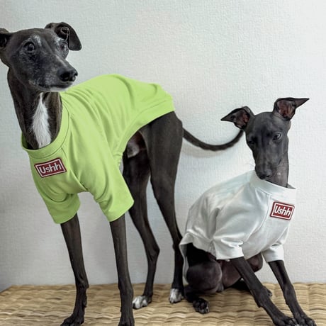 BOXLOGO cooling T-shirts .GREEN//ﾎﾞﾂｸｽﾛｺﾞｸｰﾘﾝｸﾞTｼｬﾂ.グリーン